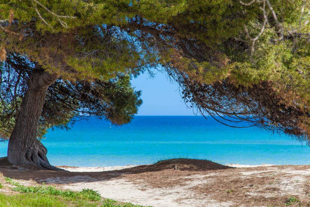 Rodriguez De La Fuente 19 Villa Playa de Muro  Dış mekan fotoğraf